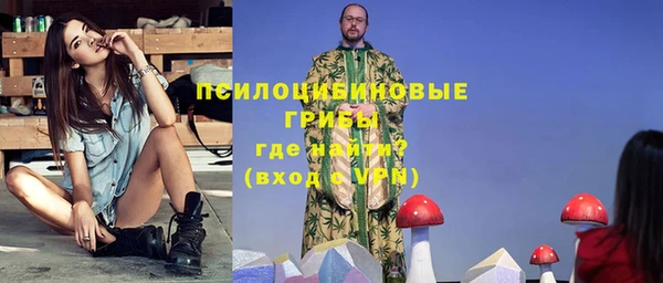 дживик Вязники