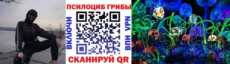 Галлюциногенные грибы Cubensis MEGA онион Адыгейск